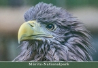 Müritz Nationalpark
