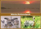 Müritz Nationalpark - Multiview