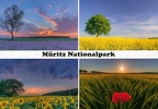Müritz Nationalpark - Multiview