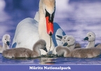 Müritz Nationalpark