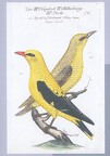 Müritzeum - Von Kunst & Natur