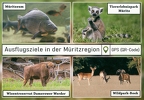 Müritz - Multiview