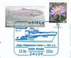 [DE 2026] FS Meteor