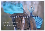 Hark alone