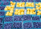 Fruits
